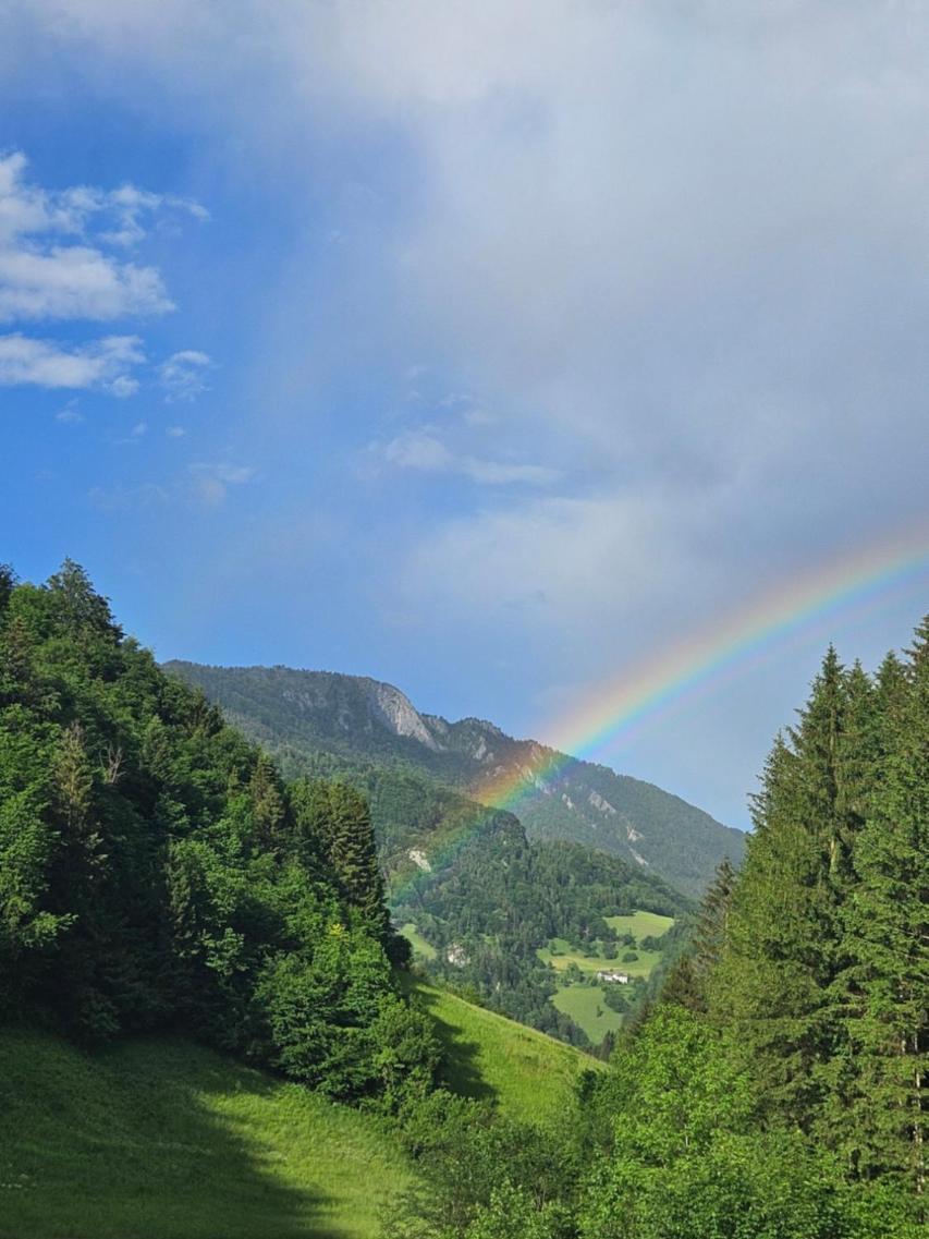 Wohnung Im Nationalpark Kalkalpen 3 Reichraming المظهر الخارجي الصورة