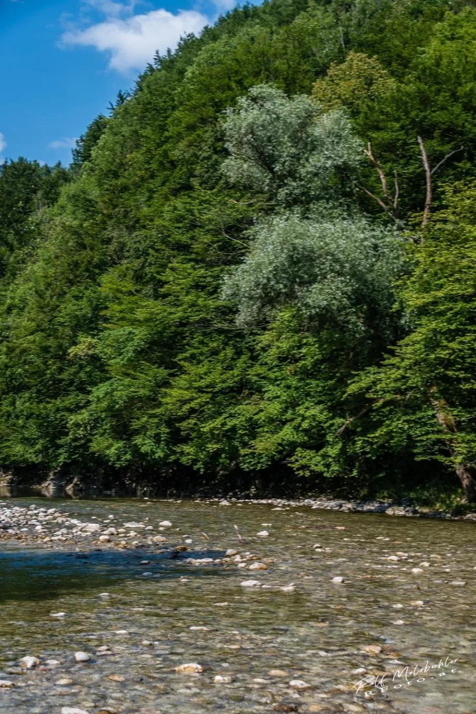 Wohnung Im Nationalpark Kalkalpen 3 Reichraming المظهر الخارجي الصورة
